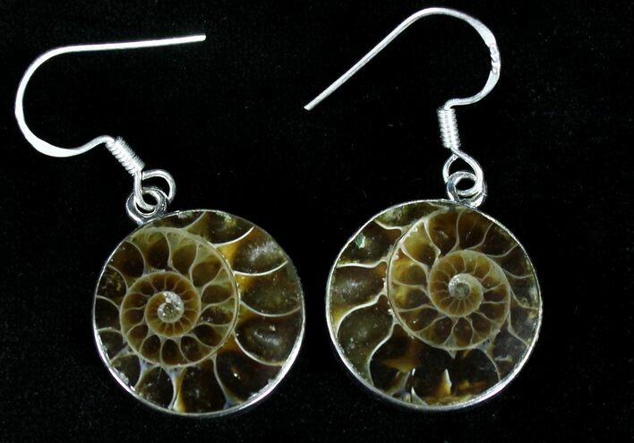 Fossil Ammonite Earrings - Sterling Silver #21077